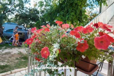Apartmanok Puntica fotó 2