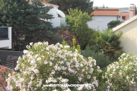 Apartman Brigita fotó 3