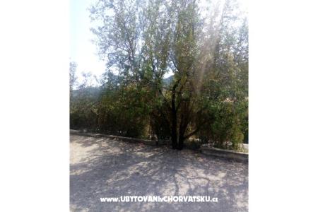 Apartmanok Ercegovic fotó 5