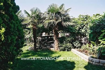 Apartmanok BOS-KO fotó 3
