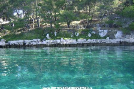 Apartmanok - Otok Lavdara fotó 2