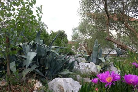 Apartmanok Vlado fotó 4