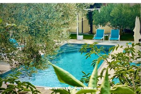 Villa Dube Slano/ villa medencével fotó 4