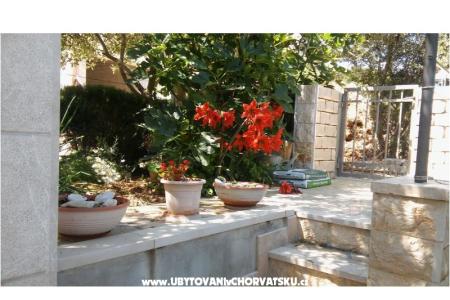 Apartmanok Nikola fotó 5