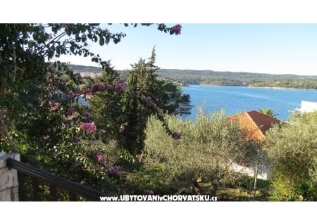 Apartmanok Janja fotó 2
