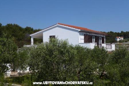 Apartmanok Oliva - Otok Šolta fotó 2