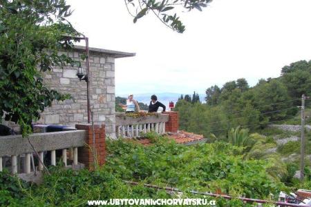 Villa Palmira fotó 3