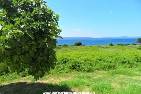 Summerhouse Belomo fotó 3