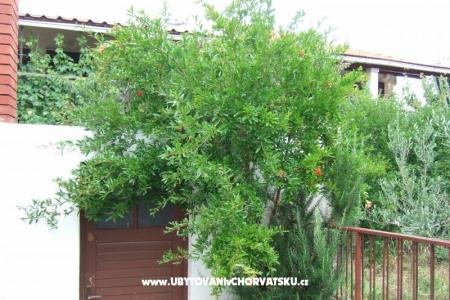 Apartman Lenka fotó 5
