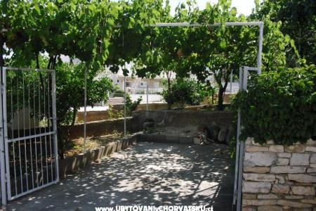 Apartmanok Vinka fotó 3