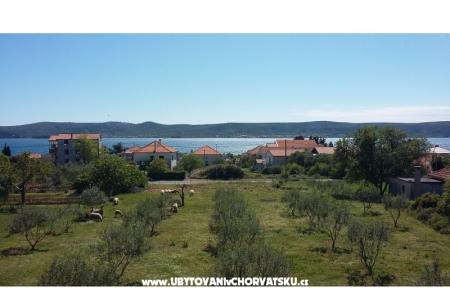 Colić Apartmanok  fotó 2