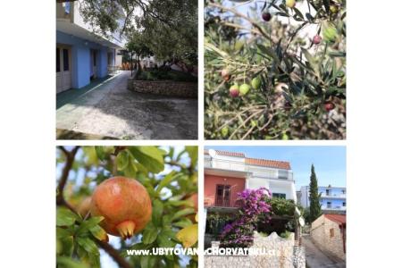 Apartmanok Mila fotó 5