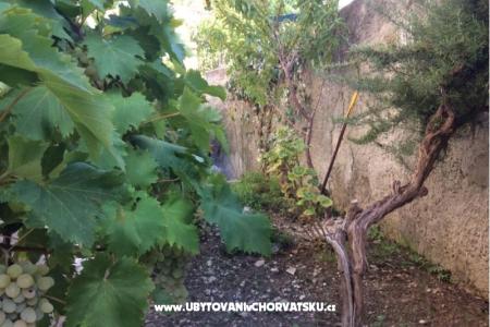 Apartmanok Adria fotó 5