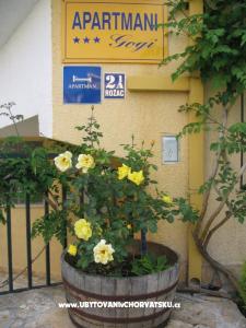 Apartmanok Gogi fotó 2