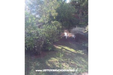 Apartmanok Ivic fotó 2