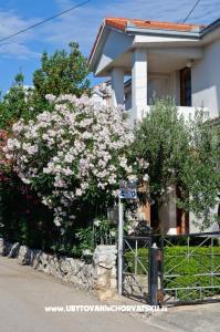 Apartmanok Ruža fotó 2
