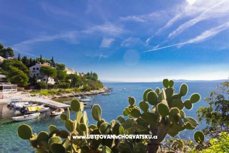 Apartmanok ŠUKI fotó 5