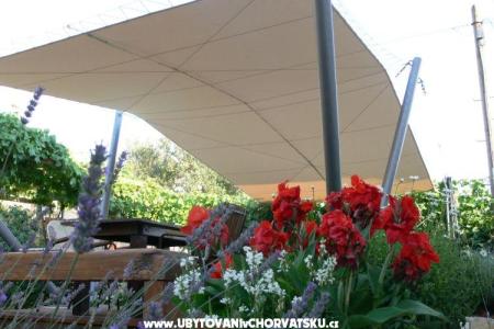 Apartmanok Mare fotó 2
