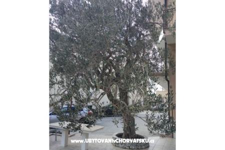 Apartmanok Mena fotó 4