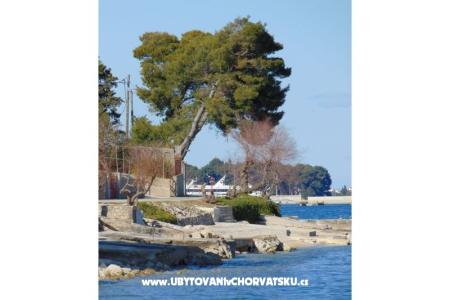 Apartman rosa fotó 4