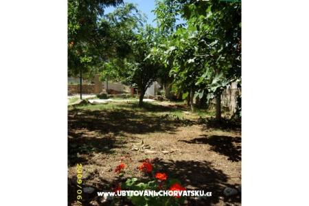 Vakáció Villa Jadran fotó 5
