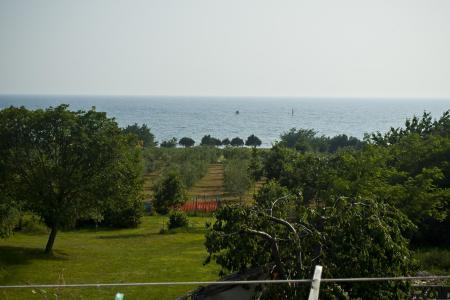 Apartmanok Paradinovic fotó 2