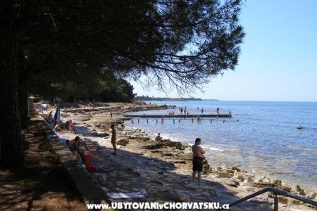 Apartmanok San Pelegrin Umag Horvátország