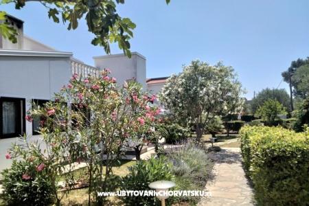 Apartmanok Budija / Lavanda fotó 2