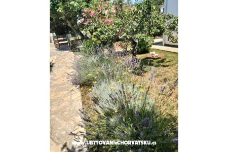 Apartmanok Budija / Lavanda fotó 4