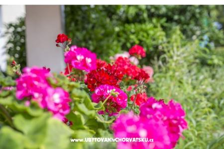 Apartmanok Ines fotó 3