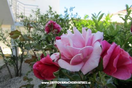 Apartmanok Kokor fotó 4