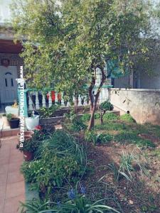 Apartmanok Marijana Alaga fotó 4