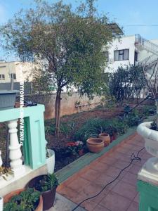 Apartmanok Marijana Alaga fotó 5