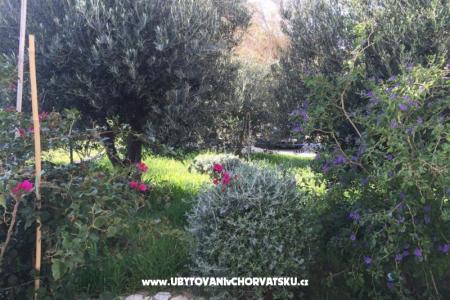 Apartmanok Villa Tribunj fotó 3