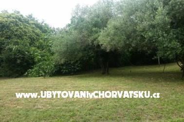 Apartmanok Rakovac Vrsar fotó 4
