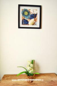 Apartman Luna fotó 5