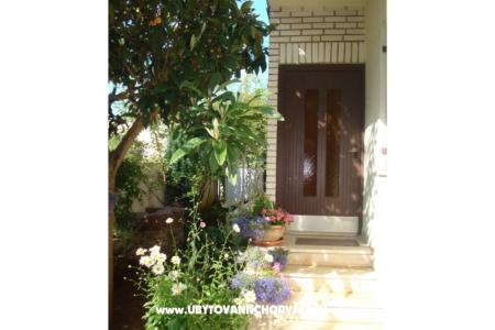 Apartmanok Andredor fotó 4