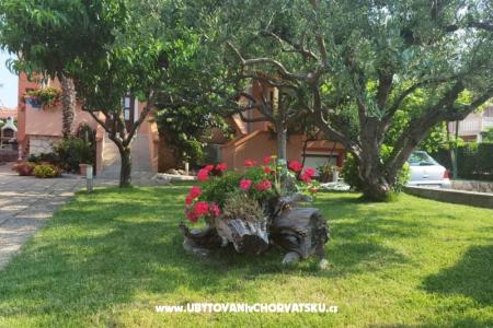 Apartmanok Riva fotó 3