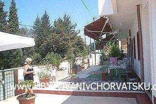 Apartmanok Drago fotó 4
