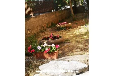 Apartmanok Asea Zadar fotó 3