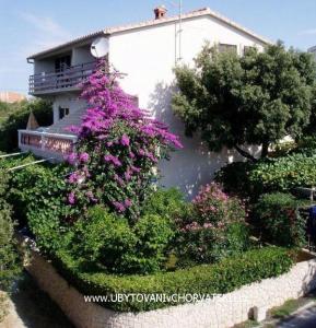 Villa IBIS Zadar Horvátország