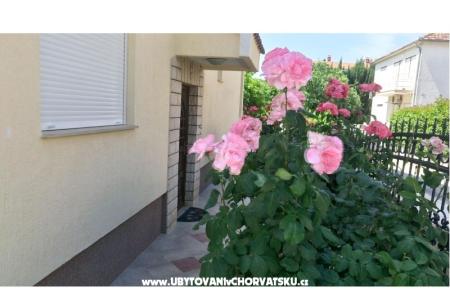 Villa Rosemarino fotó 5