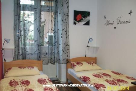Chameleon hostel fotó 3