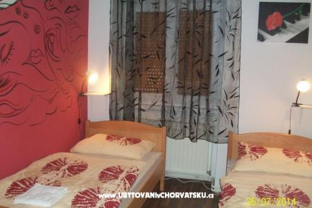 Chameleon hostel fotó 4