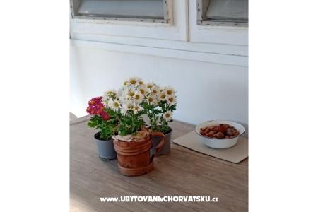 Apartman Viter fotó 5