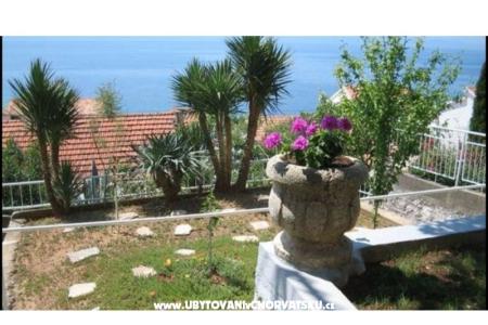 Apartman Amalia fotó 4