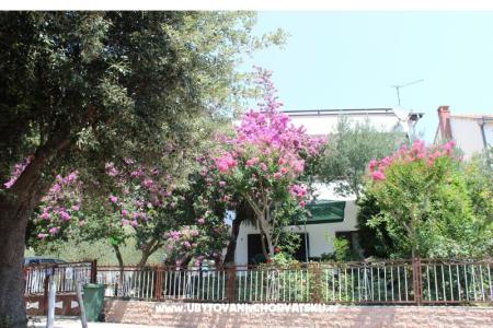 Apartmanok Vila Filipovic fotó 2