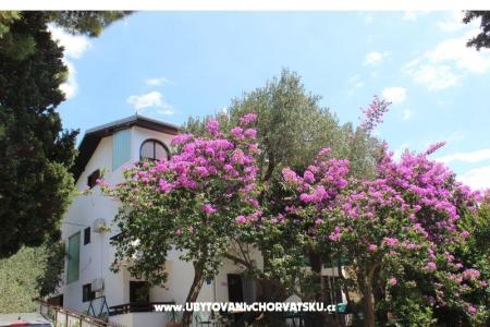 Apartmanok Vila Filipovic fotó 3