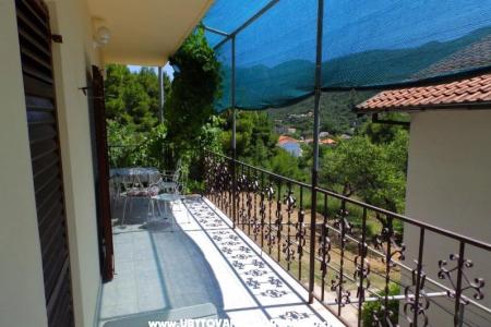 Apartmanok Dalmatin fotó 3