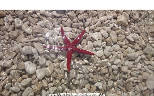 Vacation house Delić – Szálláshely Dugi Rat Horvátország